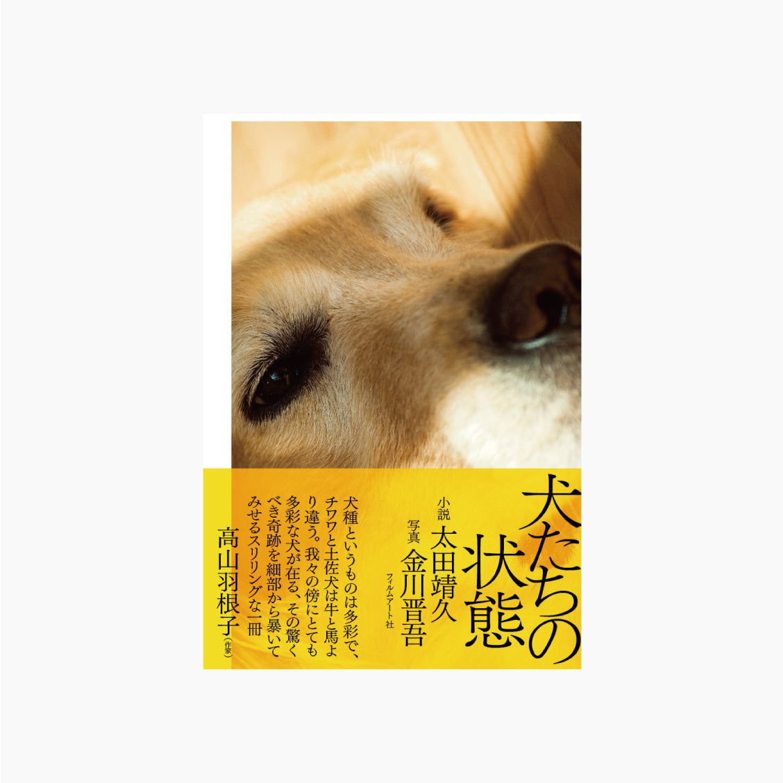 犬たちの状態