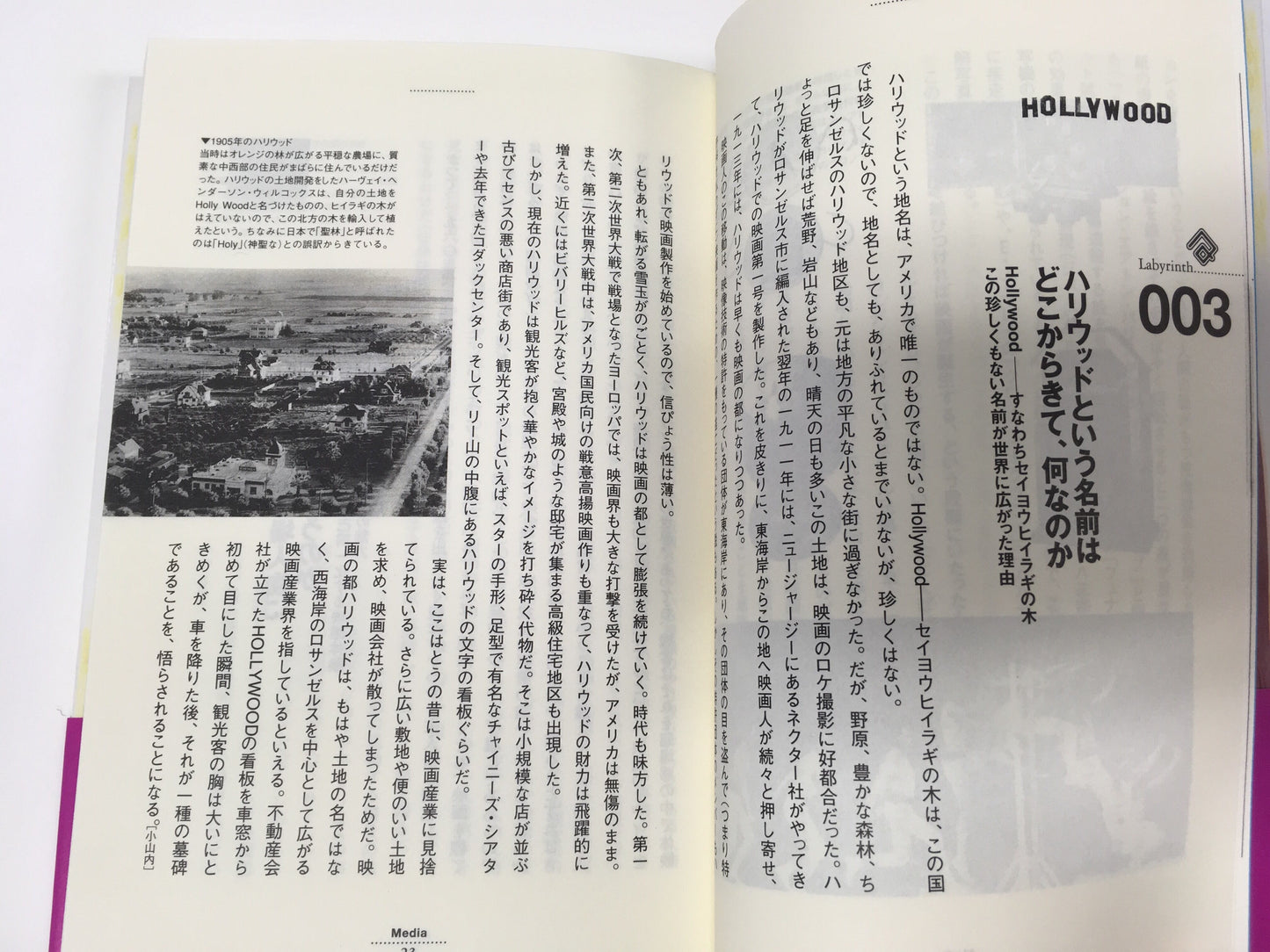 【僅少本・傷み汚れアリ】ムービー・ラビリンス 映画の謎に答えるQ&A