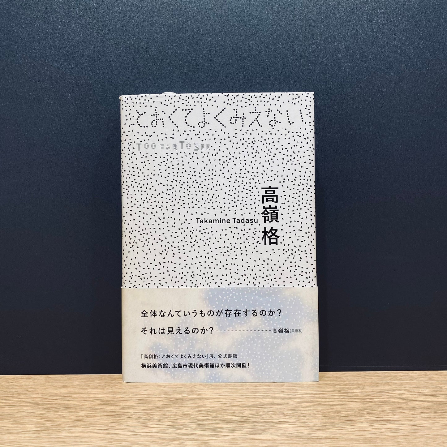 【僅少本・傷み汚れアリ】高嶺格:とおくてよくみえない